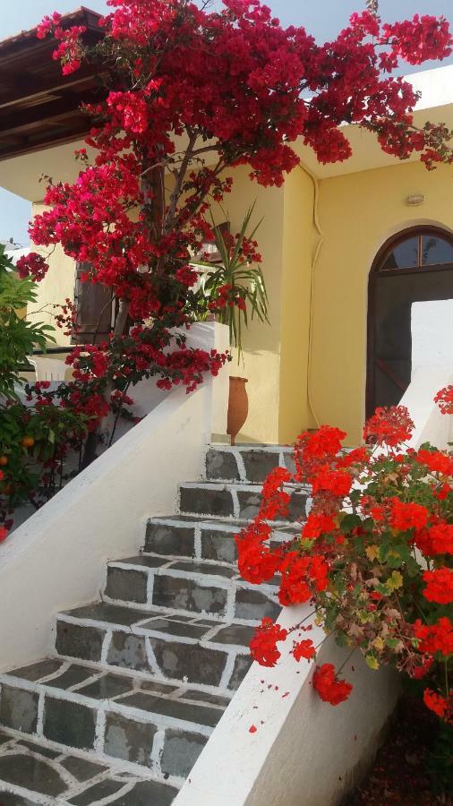 Elia Houses Koutsounari Dış mekan fotoğraf